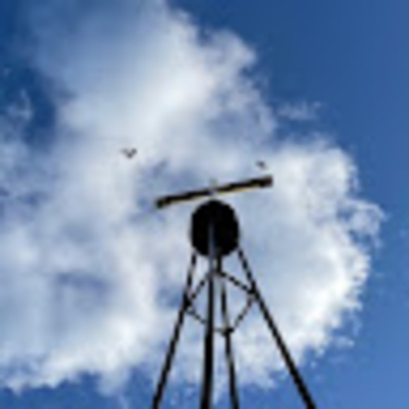 Meet your Posher, Sheena - Picture 1 of 1